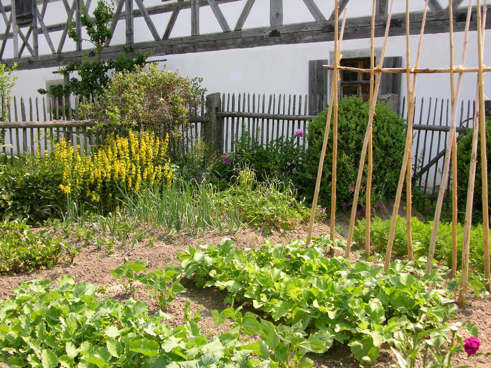 AUSGEBUCHT! aus dem Gemüsegarten Jetzt